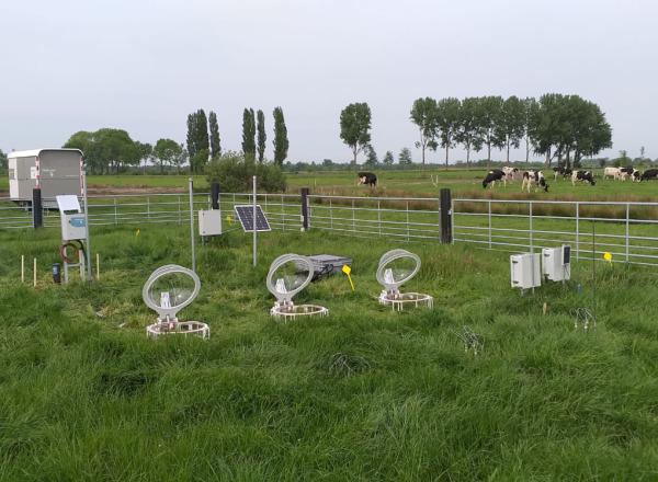 foto-meetnetwerk-zegveld_750